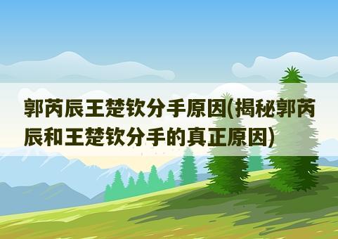 博彩公司域名最新网址 必胜博国际官网-图1